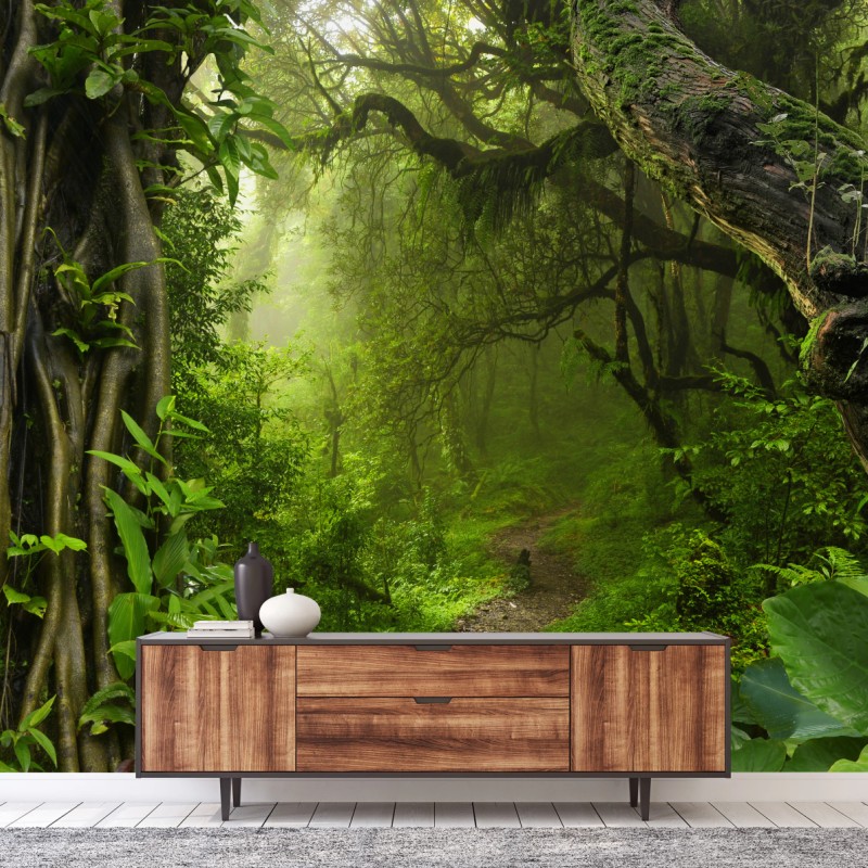Fototapete üppiger nebliger waldpfad – Wallnifity®