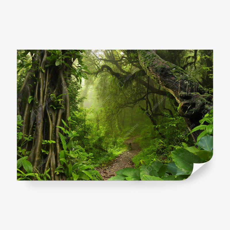 Fototapete Landmanalaugar malerische hochlandsstraße – Wallnifity®