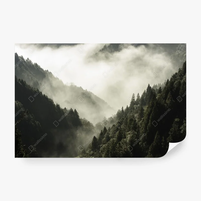 Fototapete nebliges bergtal im wald