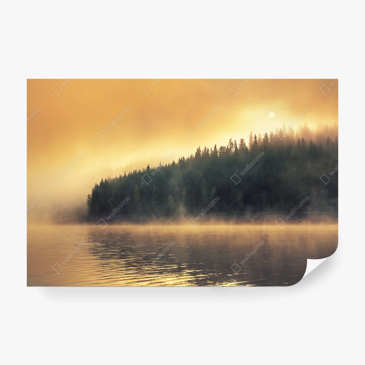 Fototapete nebeliger goldener sonnenaufgang über waldsee – Wallnifity®