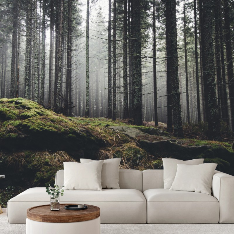 Fototapete nebliger moosbedeckter wald – Wallnifity®