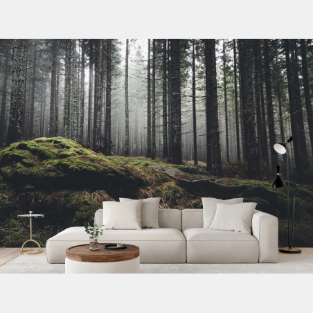 Fototapete nebliger moosbedeckter wald – Wallnifity®