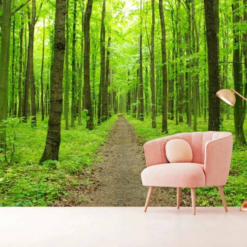 Fototapete ruhiger grüner waldweg – Wallnifity®