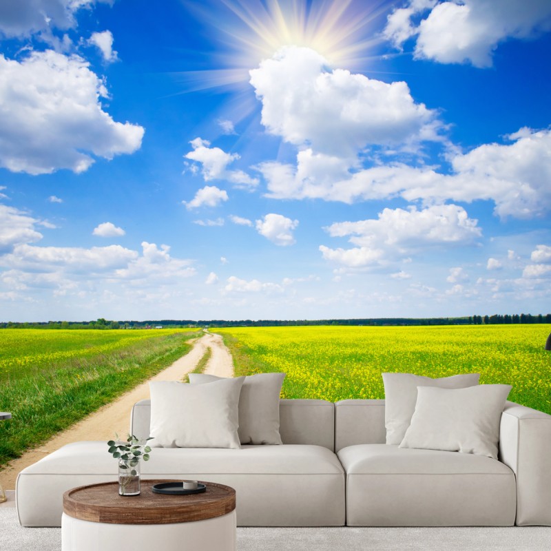 Fototapete gelbes rapsfeld unter blauem himmel – Wallnifity®