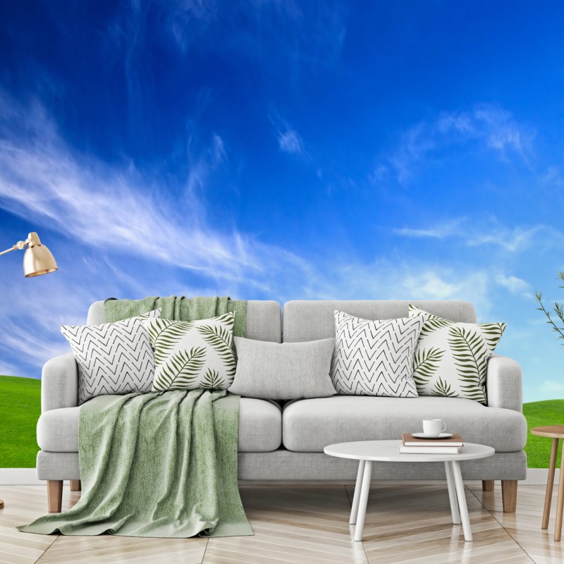 Fototapete sonnige grüne wiese unter blauem himmel – Wallnifity®