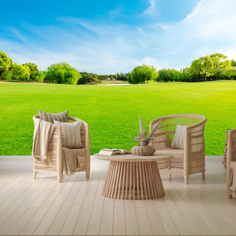 Fototapete friedliche grüne wiese unter blauem himmel – Wallnifity®