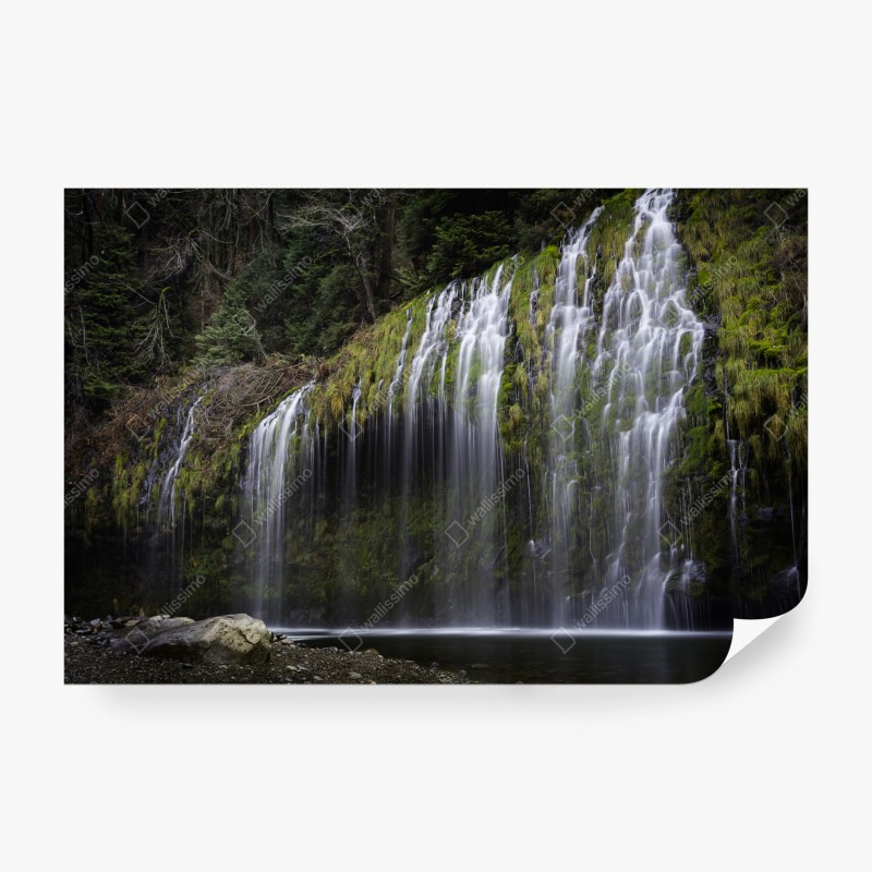 Fototapete tropisches hibiskus- und plumeria-blumenmuster – Wallnifity®