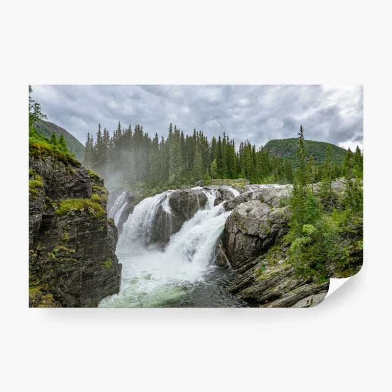 Fototapete nebliger wasserfall im dichten kiefernwald