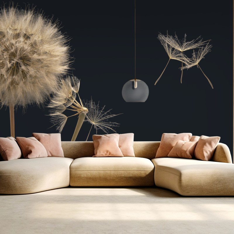 Fototapete zarter löwenzahn vor dunklem hintergrund – Wallnifity®