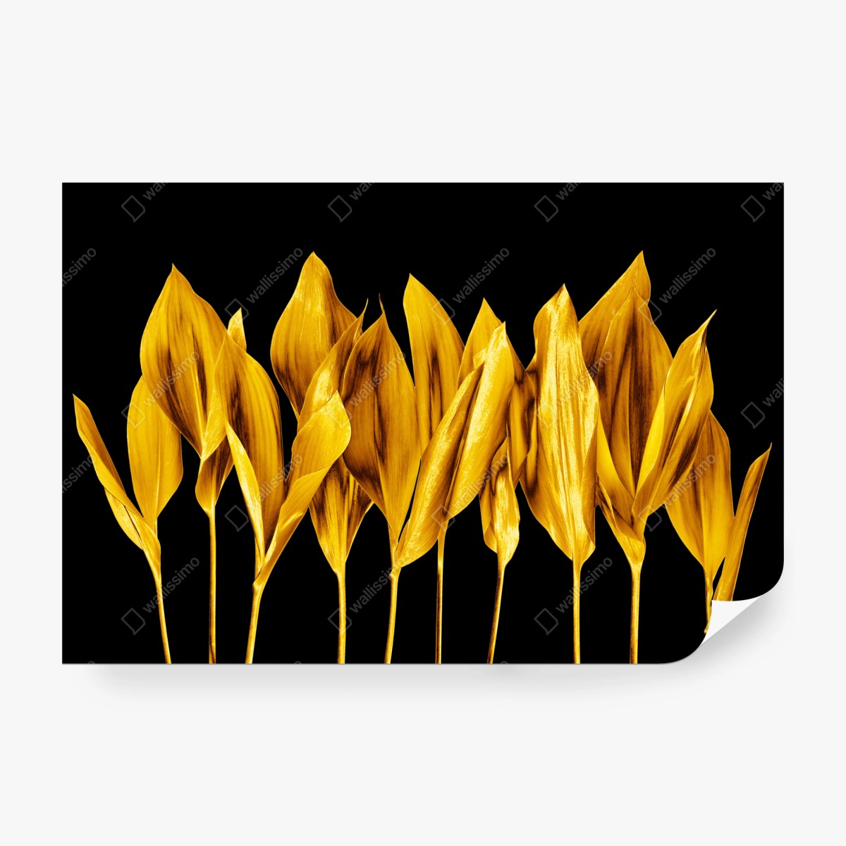 Fototapete goldene blätter auf schwarzem hintergrund – Wallnifity®