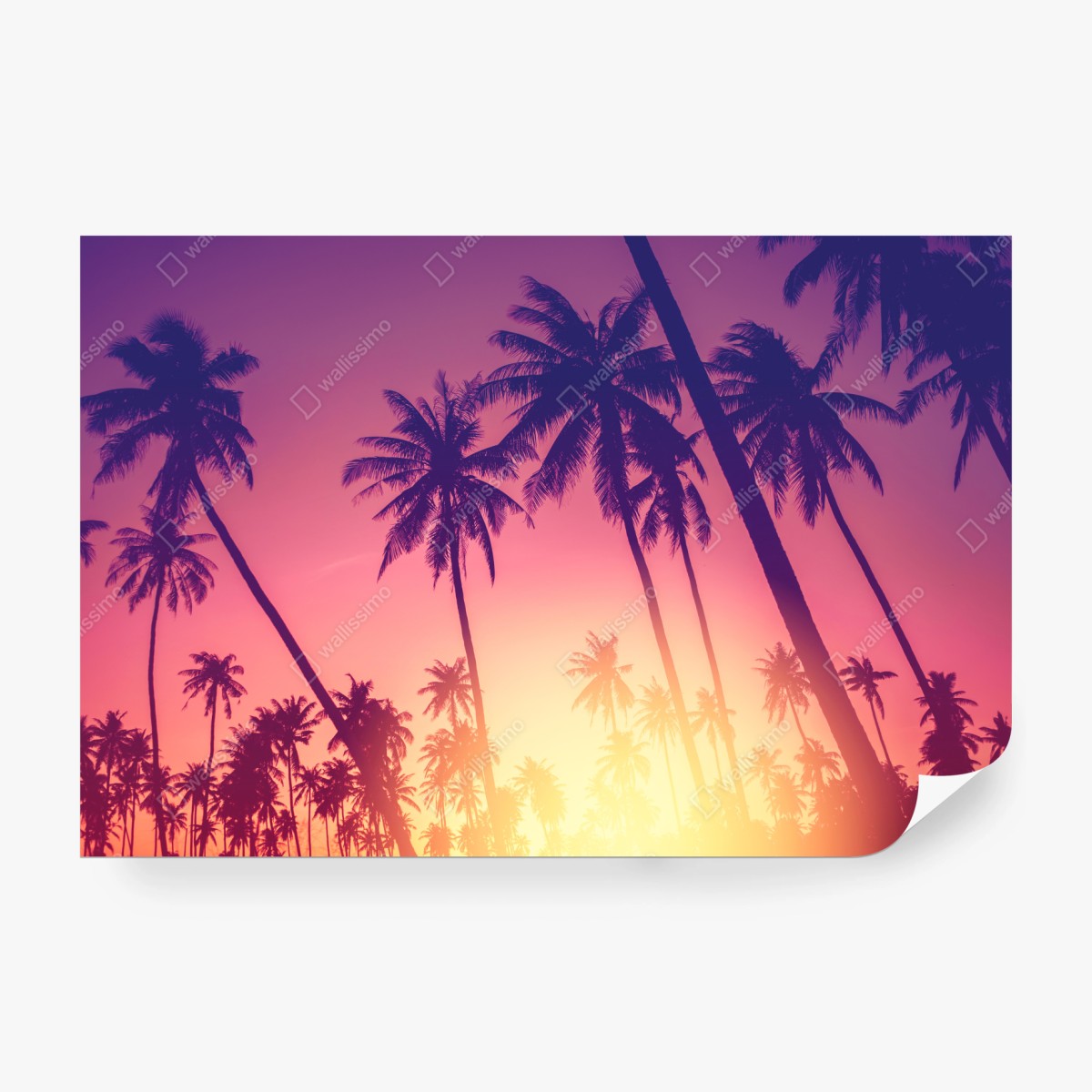 Fototapete tropischer sonnenuntergang mit palmensilhouette – Wallnifity®