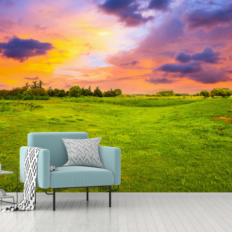 Fototapete sonnenuntergang über grüner wiese – Wallnifity®