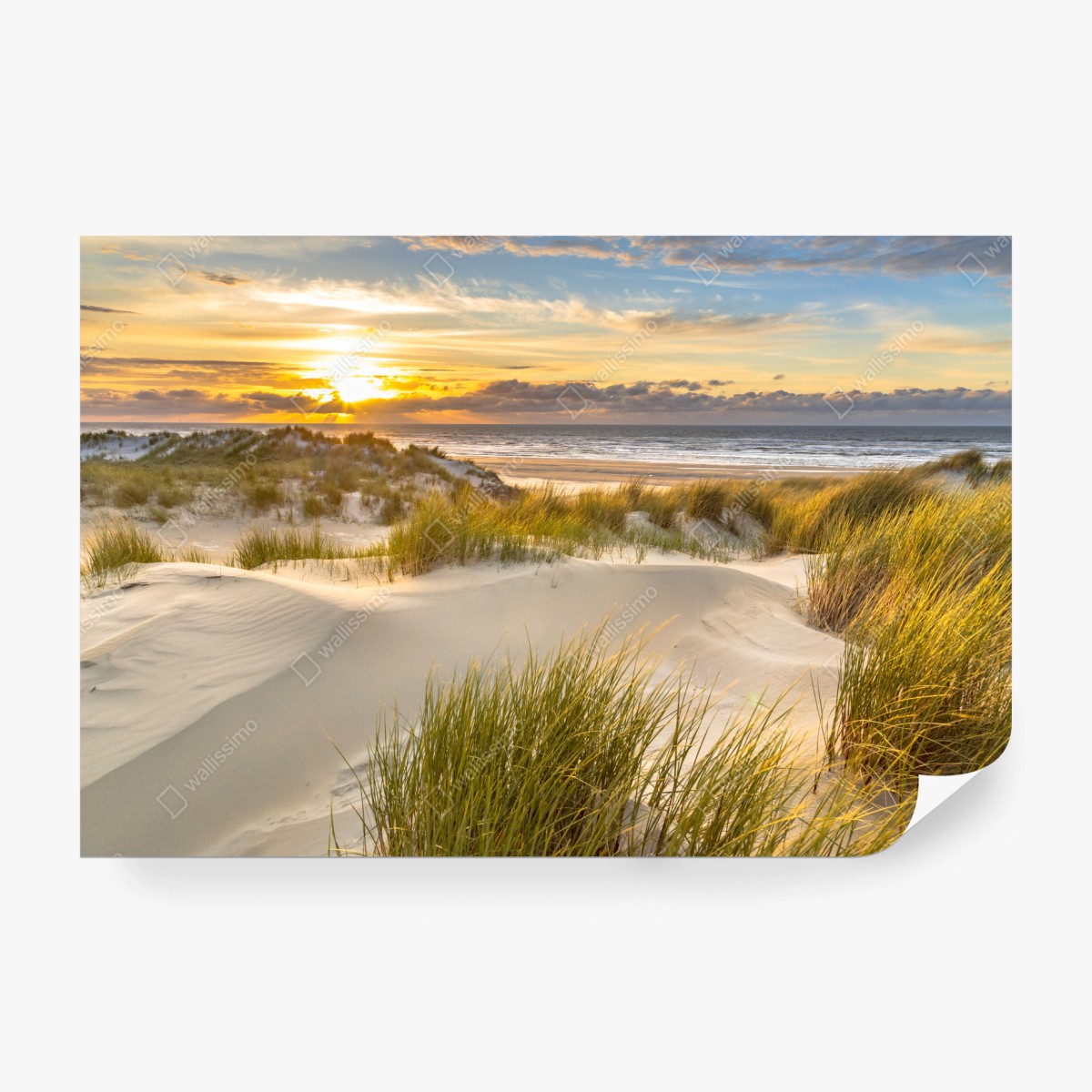 Fototapete sonnenuntergang über den dünen von Ameland – Wallnifity®