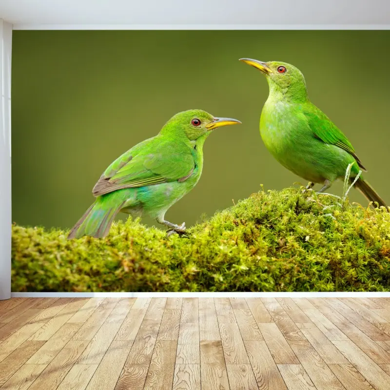 Fototapete lebendige grüne honigfresser auf moos – Wallnifity®