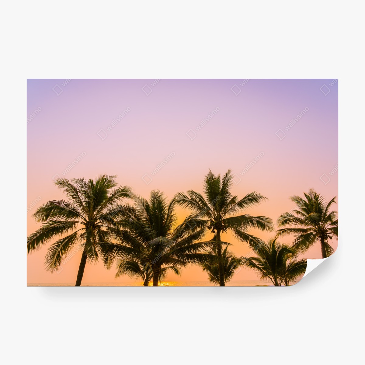 Fototapete tropischer palmsonnenuntergang am strand – Wallnifity®