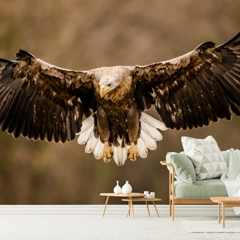 Fototapete majestätischer adler im flug