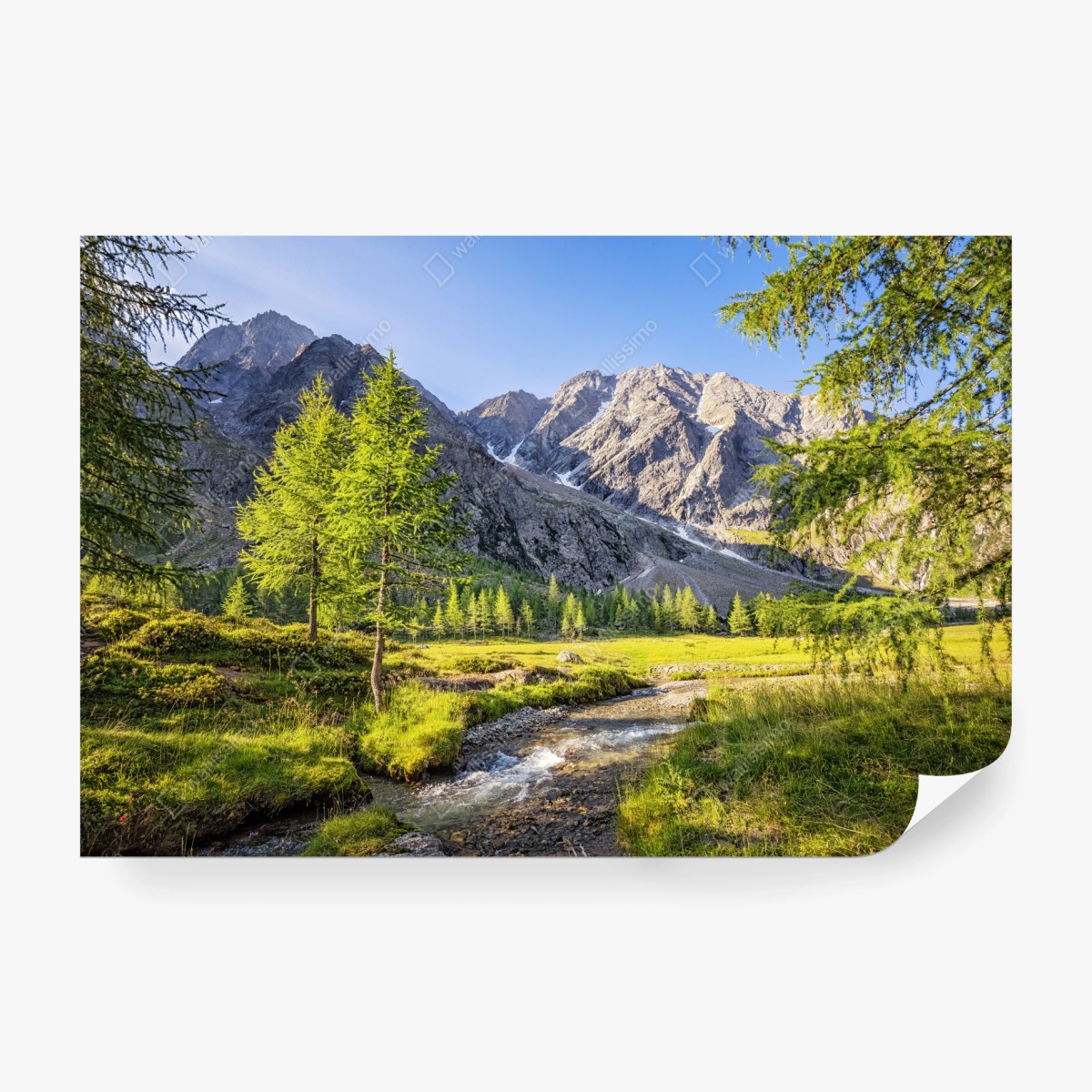 Fototapete alpine wiese mit bergbach – Wallnifity®