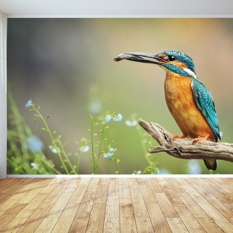 Fototapete eisvogel auf einem ast mit fisch – Wallnifity®