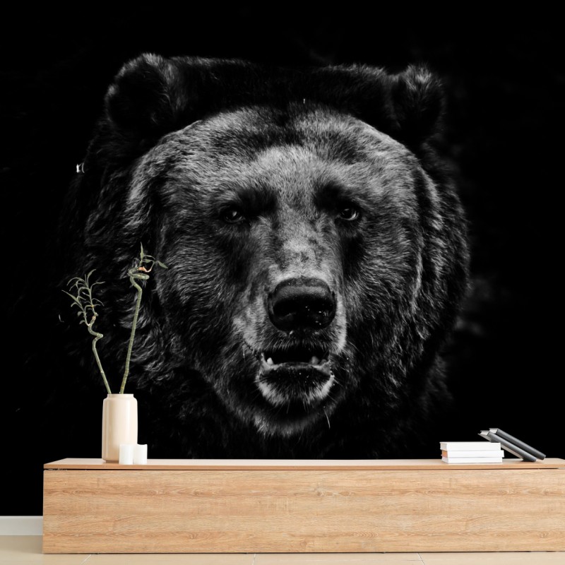 Fototapete düsteres grizzly-porträt in monochrom – Wallnifity®