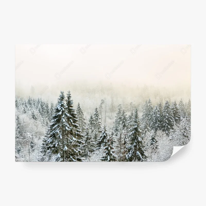 Fototapete verschneiter wald im sanften nebel
