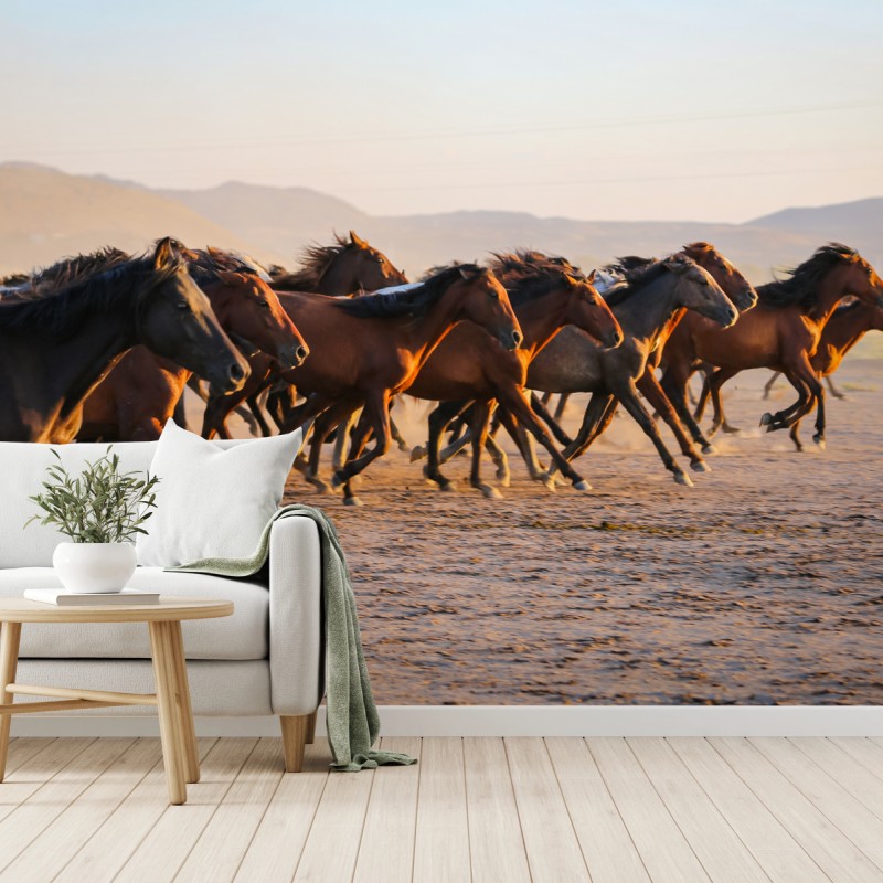 Fototapete yilki pferde galoppieren auf dem feld in Kayseri – Wallnifity®