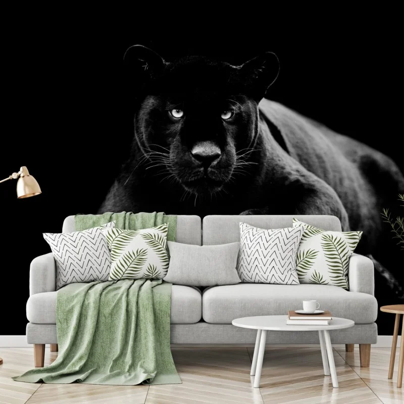 Fototapete majestätisches porträt eines schwarzen panthers