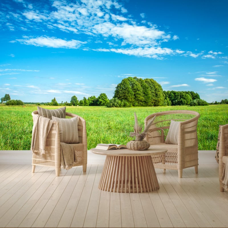 Fototapete sonnige grüne wiese unter blauem himmel – Wallnifity®