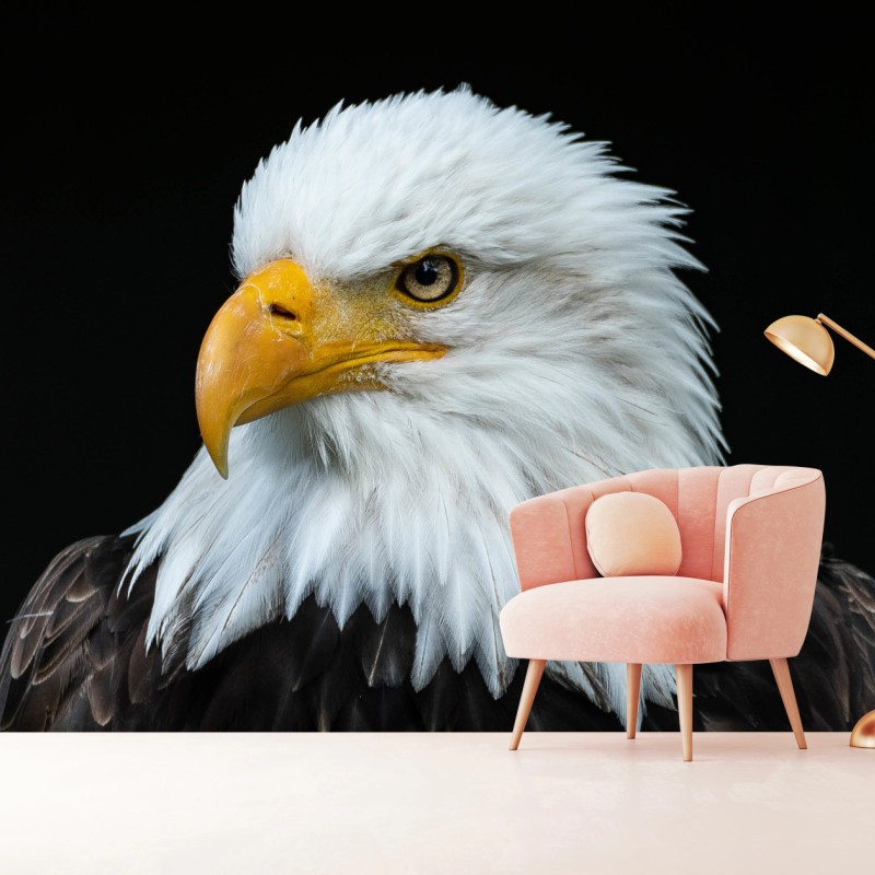 Fototapete majestätisches porträt eines weißkopfseeadlers – Wallnifity®