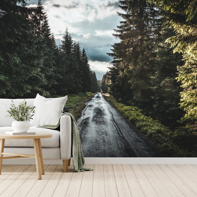 Fototapete waldweg durch neblige kiefern – Wallnifity®