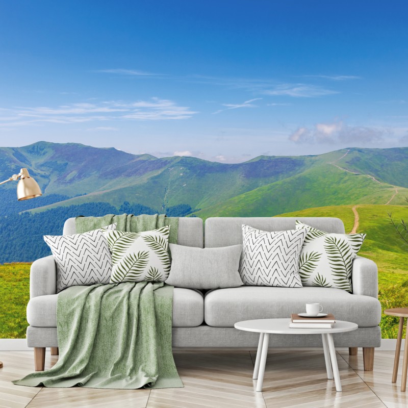 Fototapete sonnige Borzhava-wiese, Transkarpatien, Ukraine – Wallnifity®