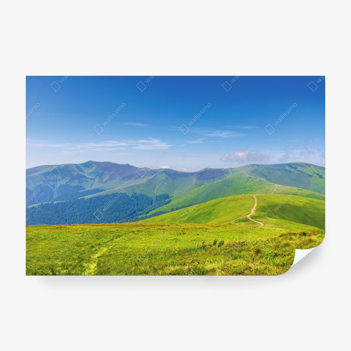 Fototapete sonnige Borzhava-wiese, Transkarpatien, Ukraine – Wallnifity®