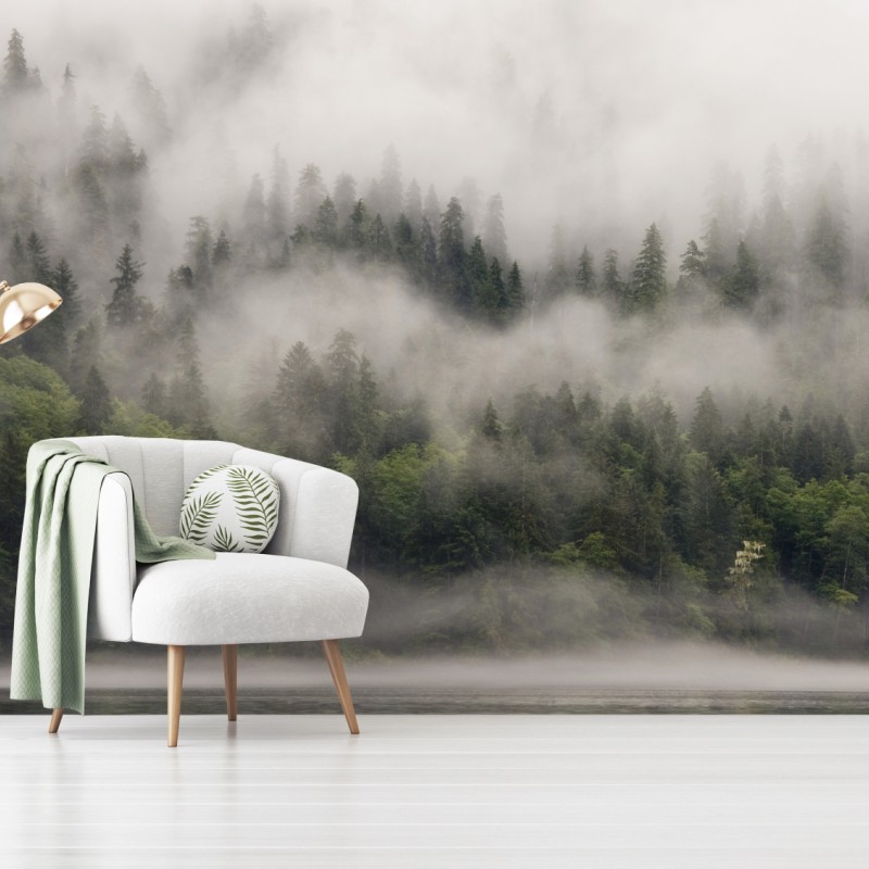 Fototapete nebliger küstenwald, British Columbia – Wallnifity®