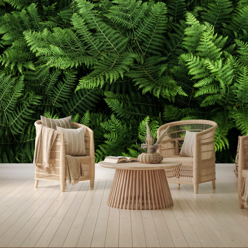 Fototapete üppiges grünes farnlaub – Wallnifity®