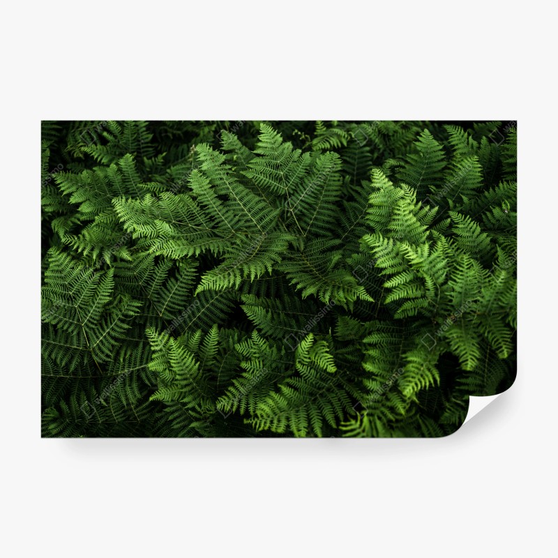 Fototapete ruhige stadtskyline bei dämmerung – Wallnifity®