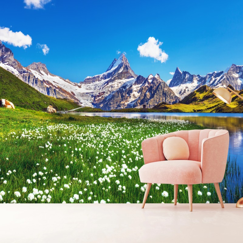 Fototapete alpensee mit blumenwiese und berggipfeln – Wallnifity®