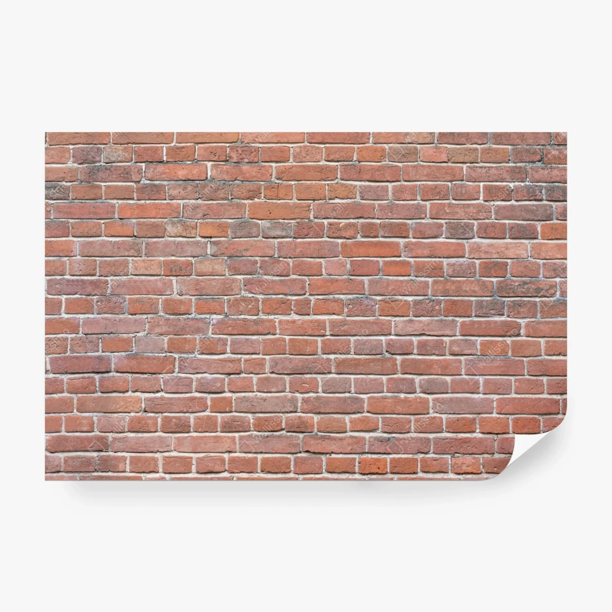 Fototapete textur rote ziegelwand – Wallnifity®