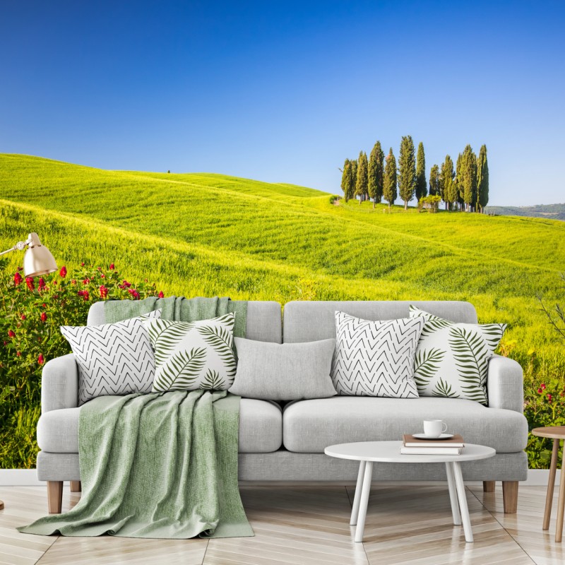Fototapete sonnige grüne hügel mit zypressen – Wallnifity®