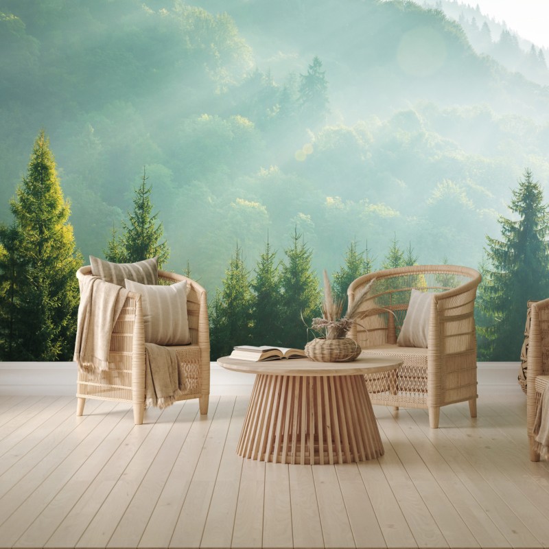 Fototapete neblige fichtenspitzen im morgenlicht – Wallnifity®