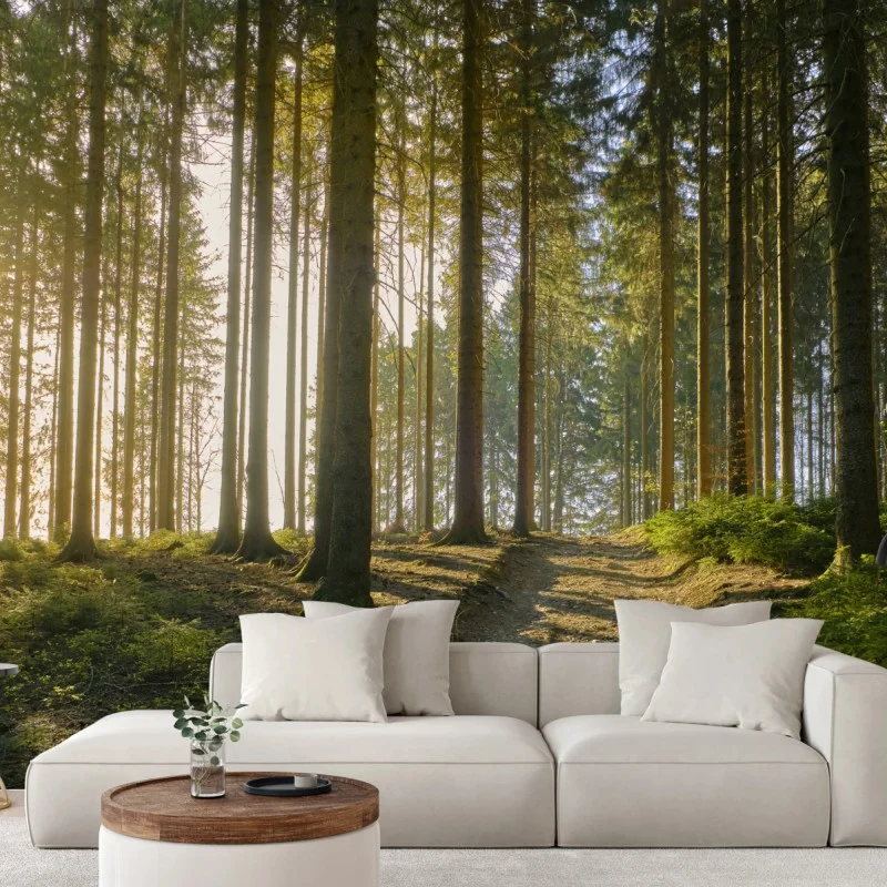 Fototapete sonniger waldweg im morgenlicht