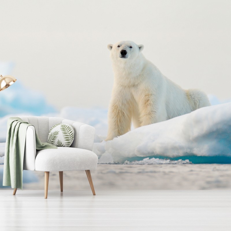 Fototapete eisbär auf eis in der Arktis, Svalbard – Wallnifity®