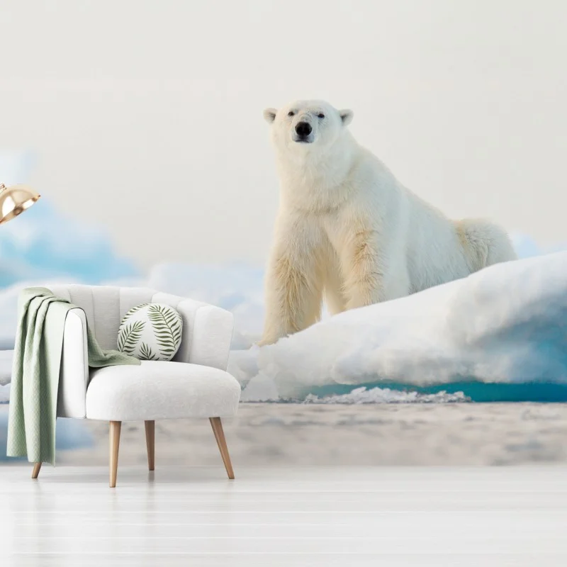 Fototapete eisbär auf eis in der Arktis, Svalbard