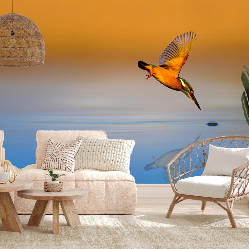 Fototapete eisvogel beim tauchen über spiegelndem wasser – Wallnifity®