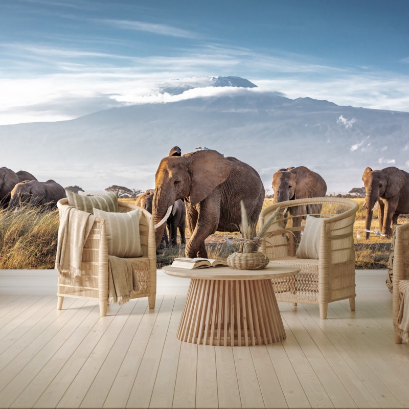 Fototapete elefantenherde vor Kilimandscharo – Wallnifity®