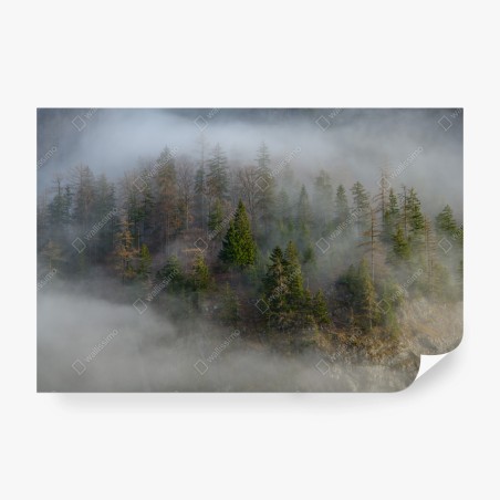 Fototapete nebliger bergwald – Wallnifity®