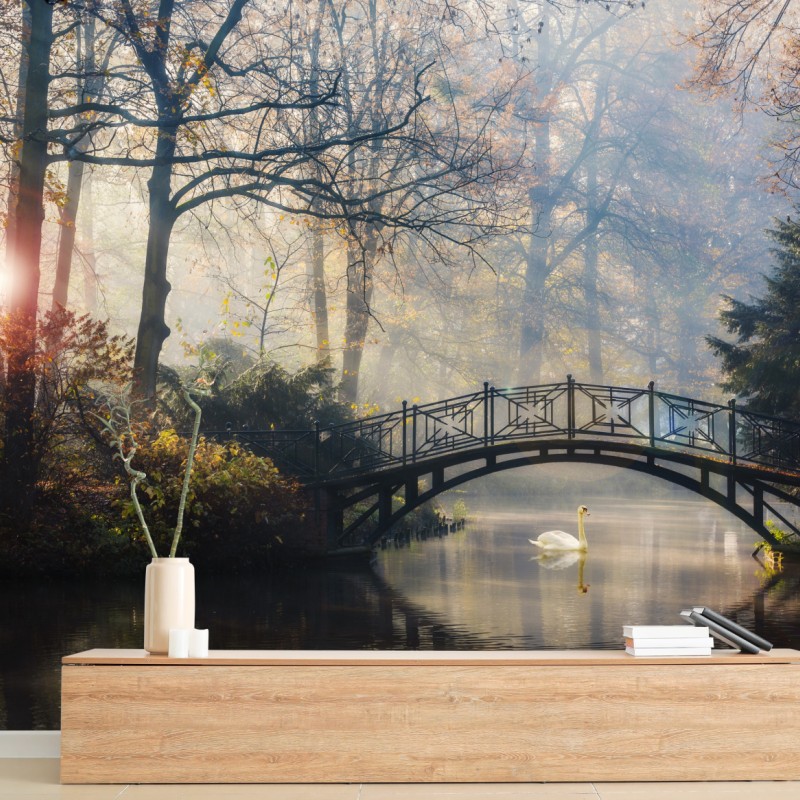 Fototapete neblige herbstbrücke mit schwan – Wallnifity®