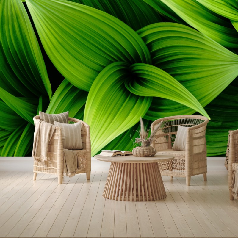 Fototapete üppige grüne blätter – Wallnifity®
