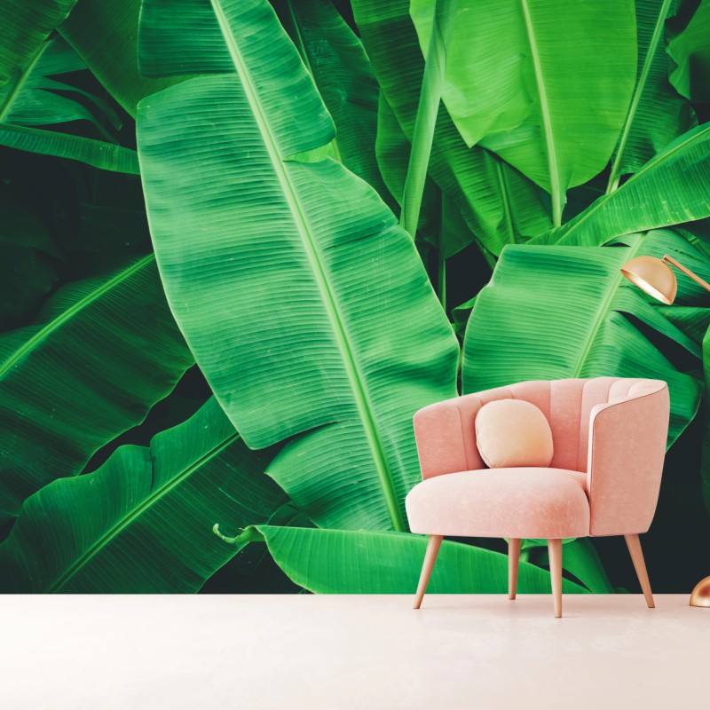 Fototapete tropische bananenblätter – Wallnifity®