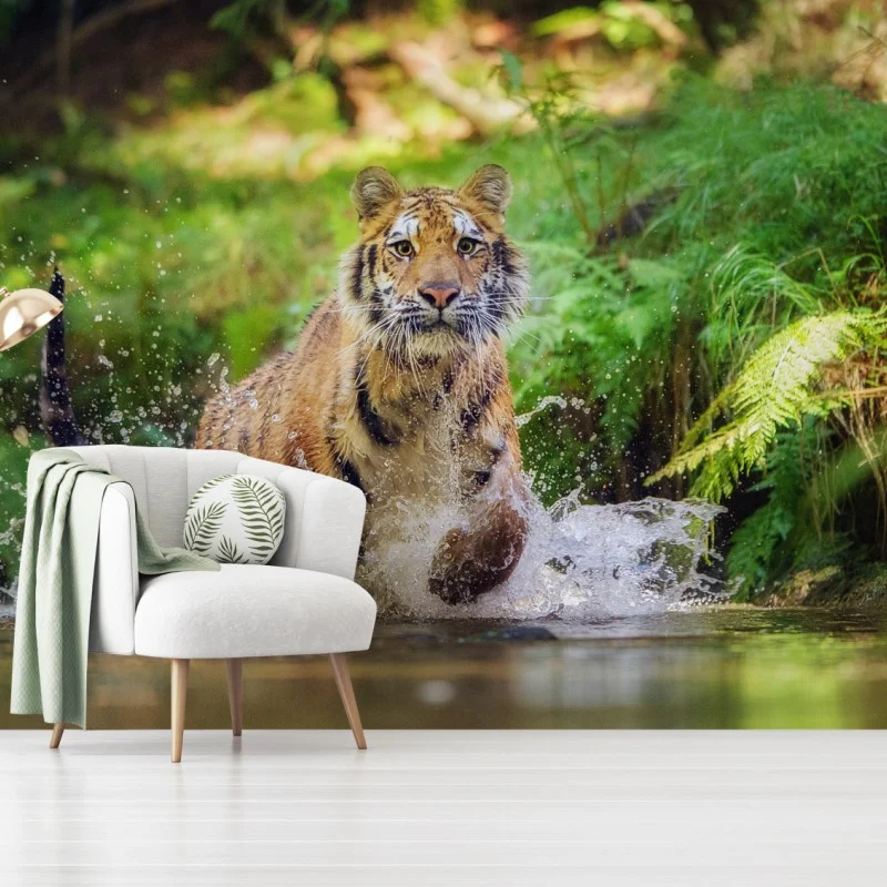 Fototapete majestätischer tiger im waldbach