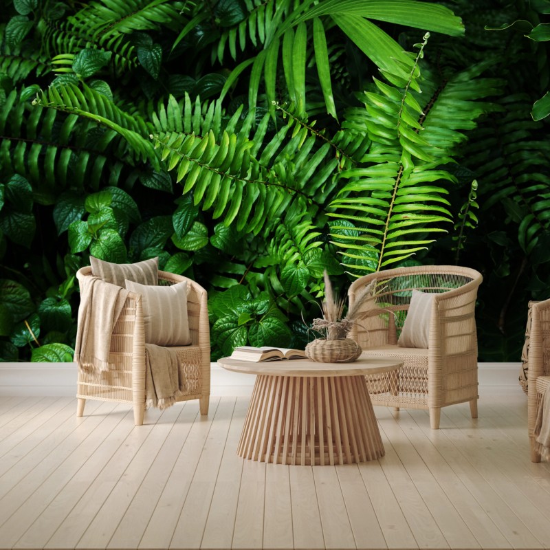 Fototapete üppige tropische farnblätter – Wallnifity®
