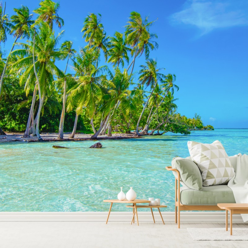 Fototapete tropischer palmenstrand – Wallnifity®